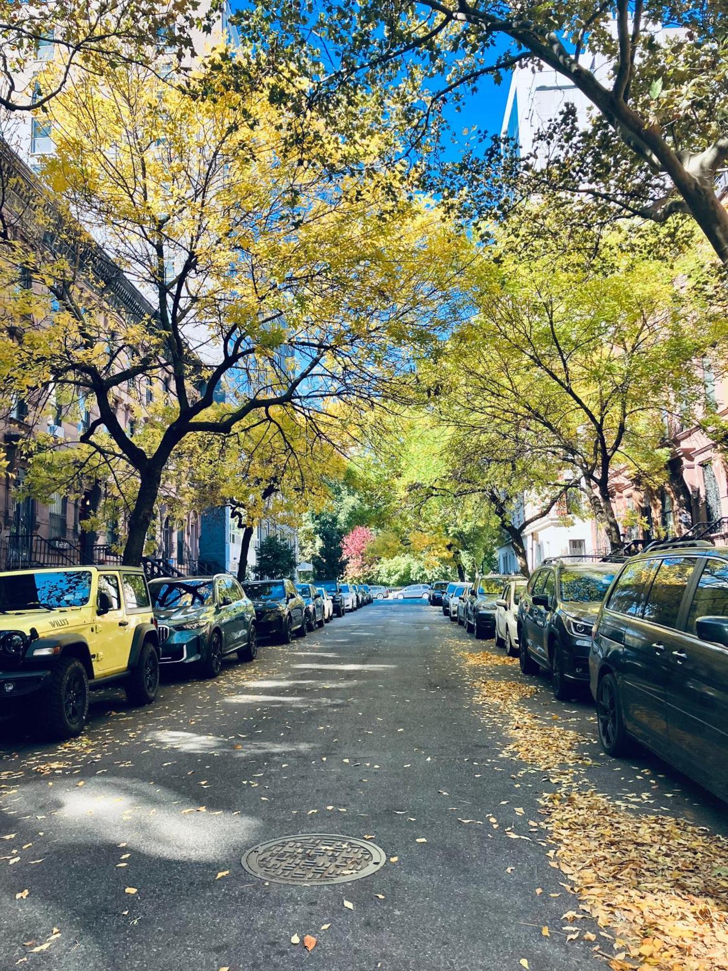Bed and Breakfast Harlem Grand New York Exteriér fotografie
